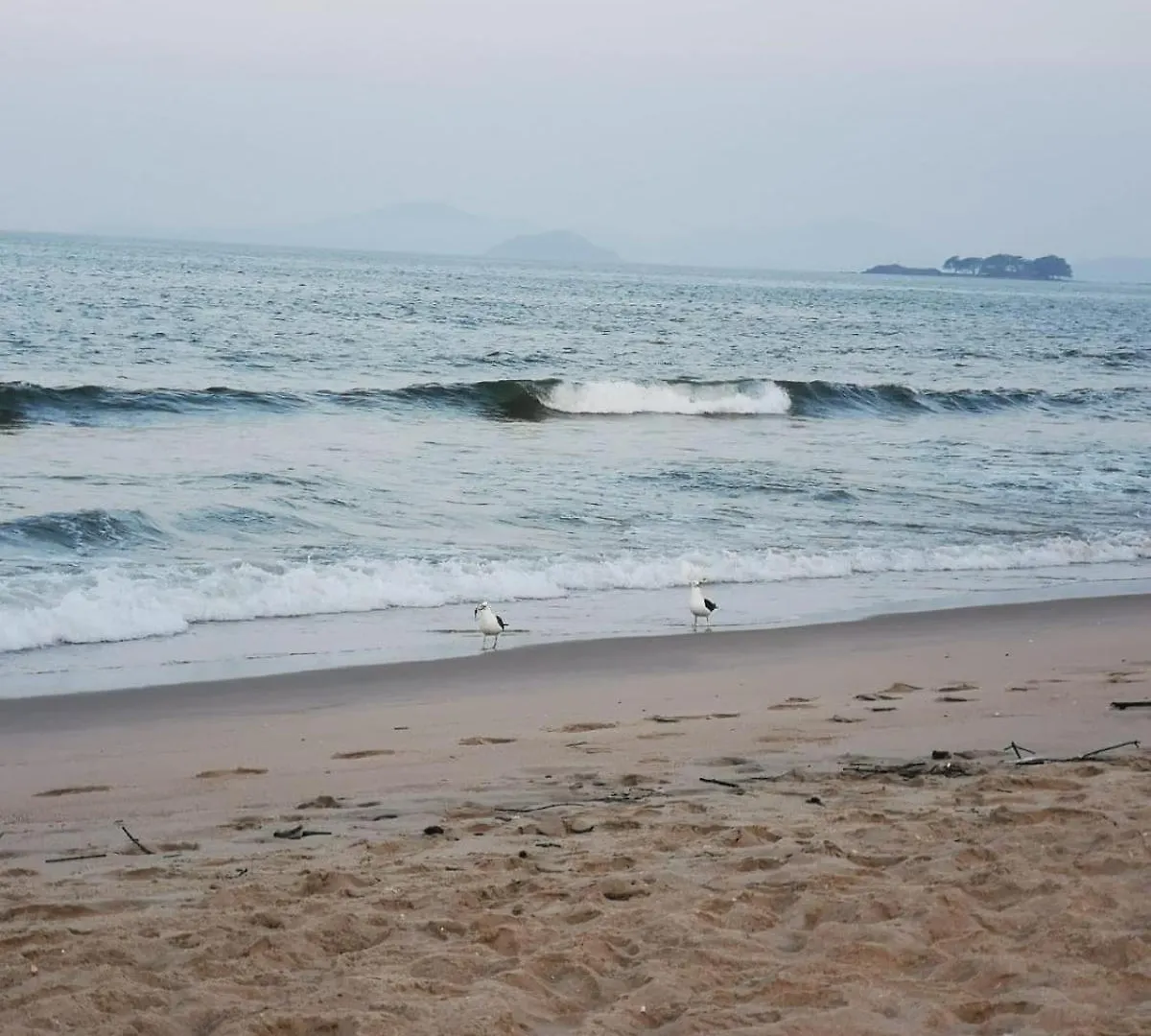 Comforto A Beira-Mar Com Vista Deslumbrante Barra Velha  Apartamento